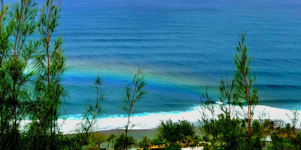 A Surfer's Guide to North Shore Oahu